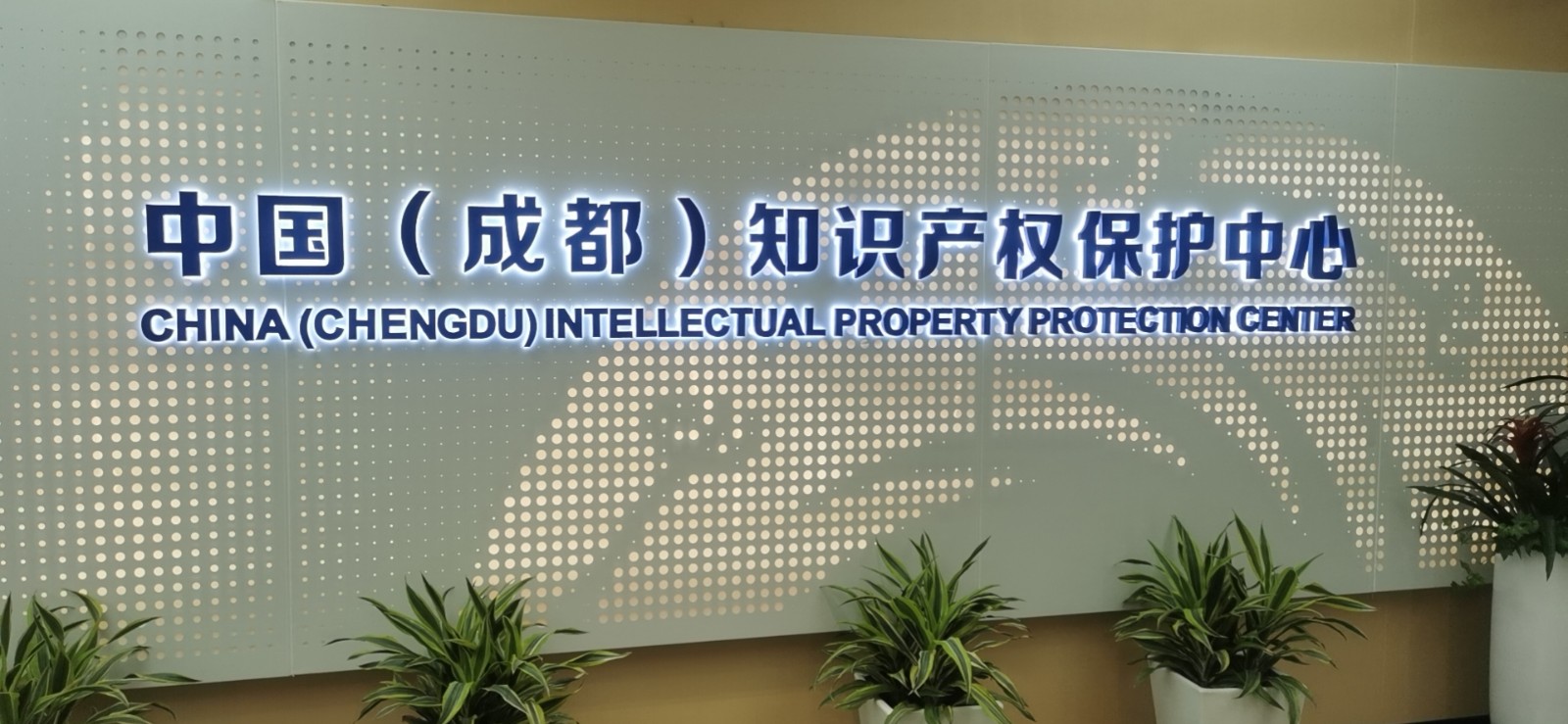 1656062259846219.jpg 1656062259846219.jpg